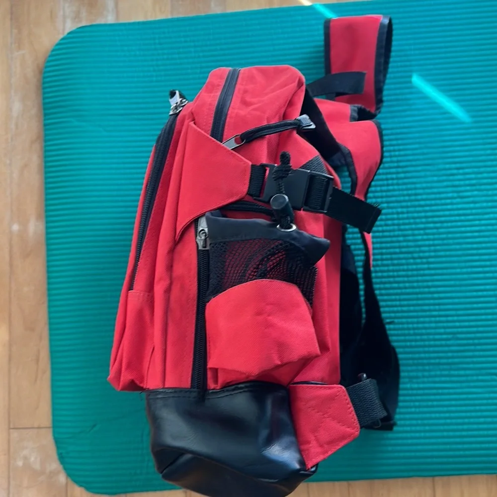 Backpack - Picture 2 of 7